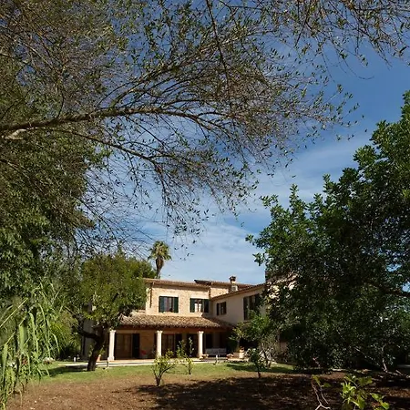 La Sort De Berenguer En * Pollenca